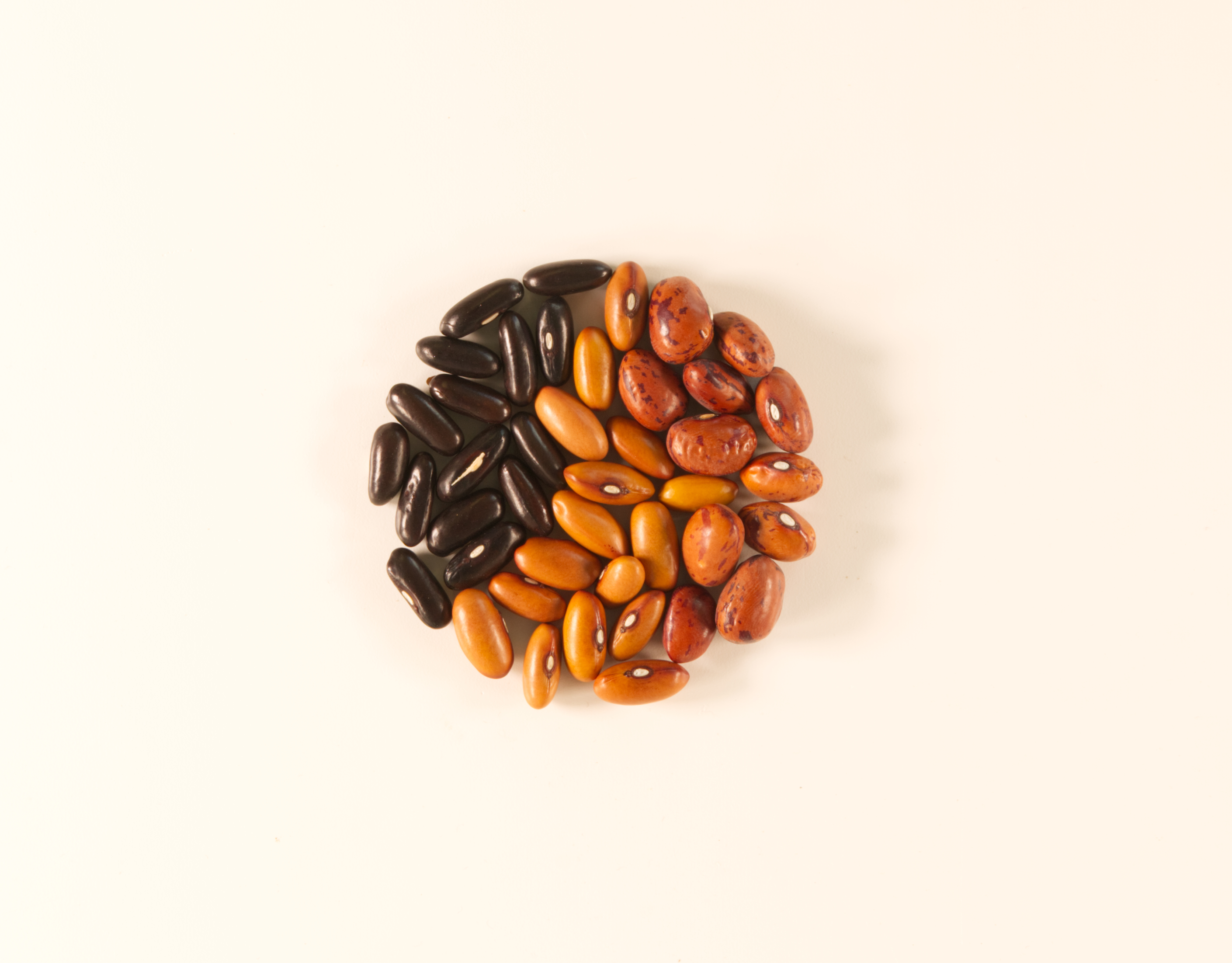 Verschiedene Schweizer Hülsenfrüchte